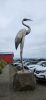PICTURES/A Little This - A Little That/t_Blue Heron.jpg